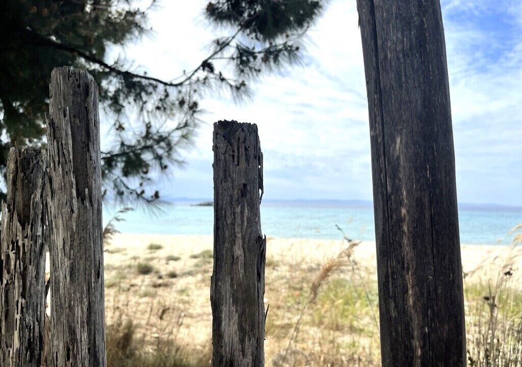 Photo of Others in Elia