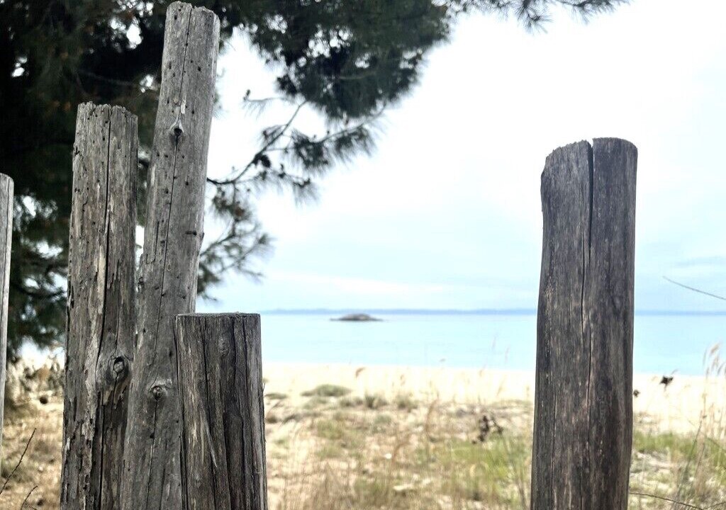 Photo of Others in Elia