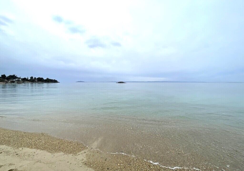 Photo of Others in Elia