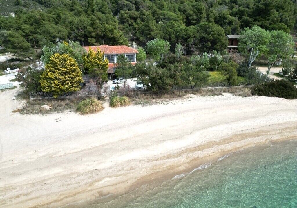 Photo of Others in Elia