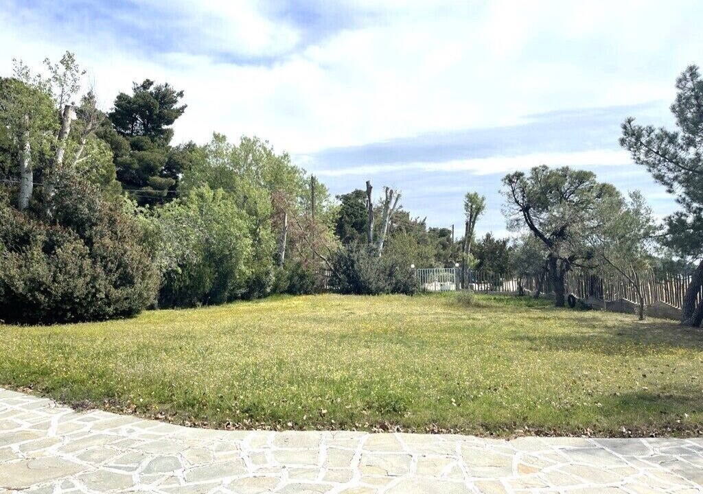 Photo of Outdoor in Elia