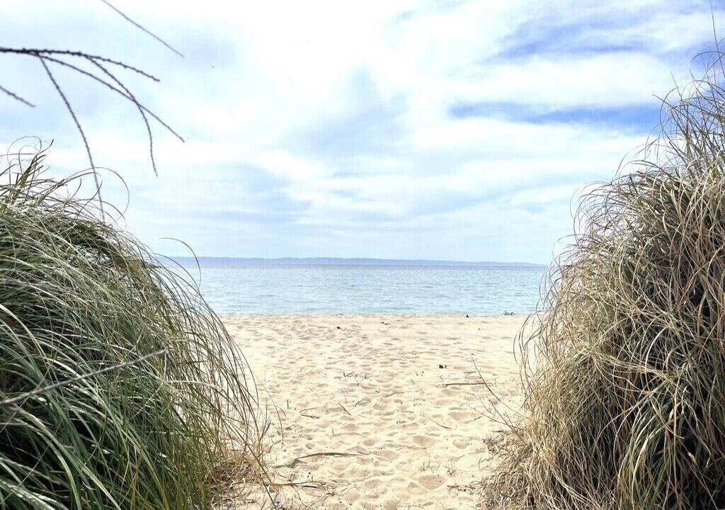 Photo of Others in Elia