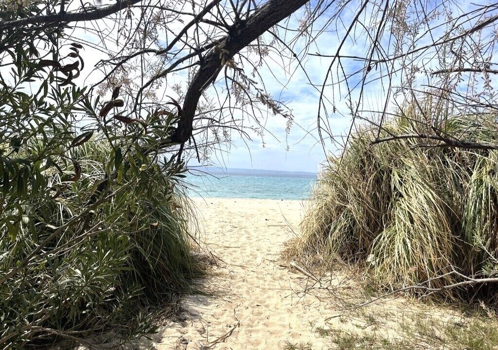 Photo of Others in Elia