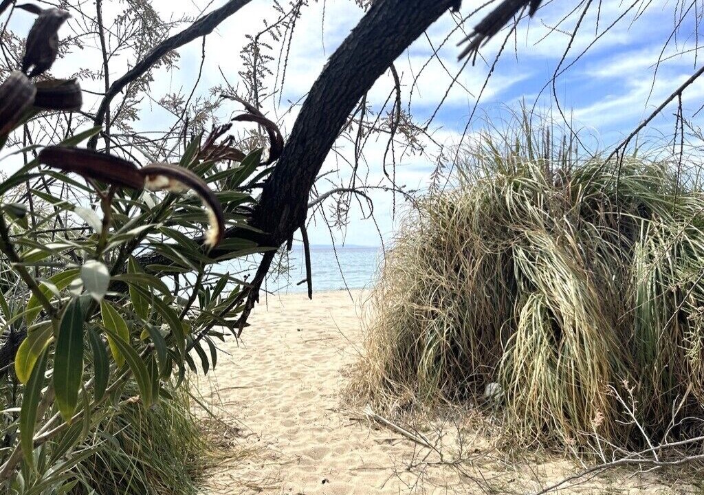 Photo of Others in Elia