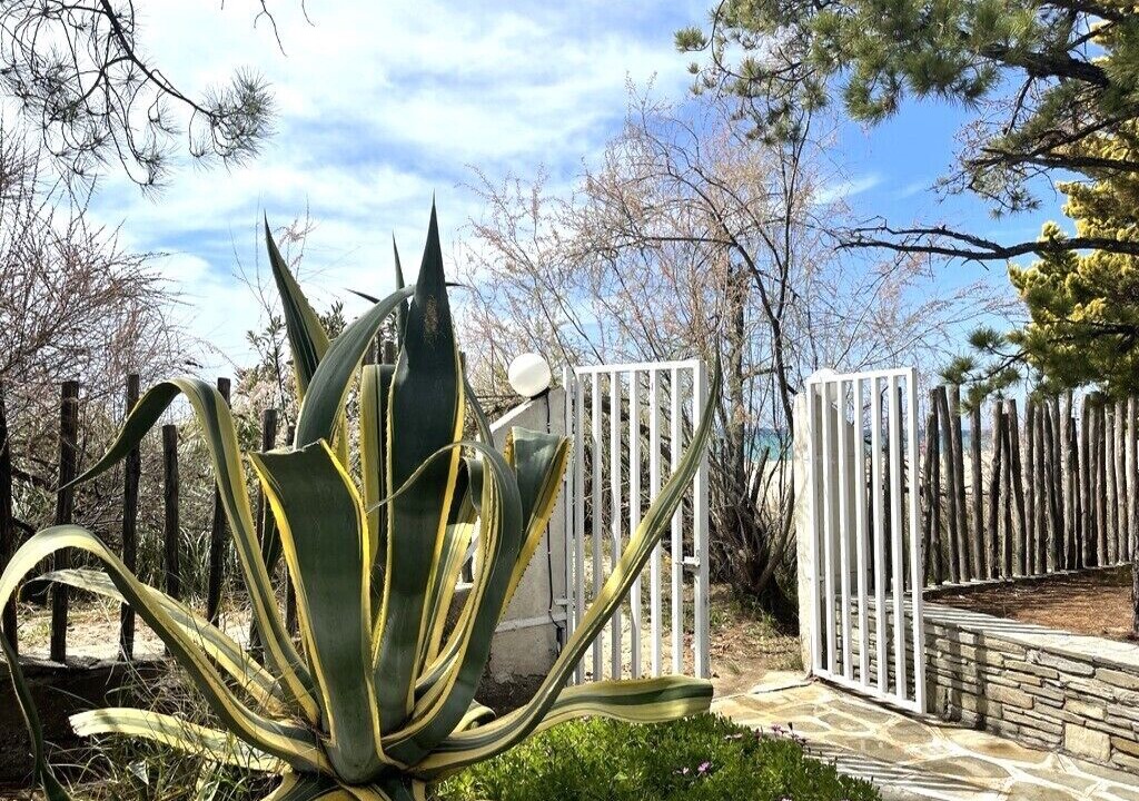 Photo of Outdoor in Elia