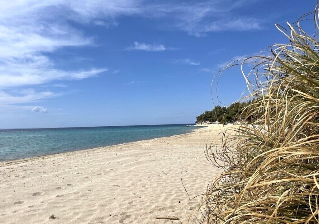 Photo of Others in Elia