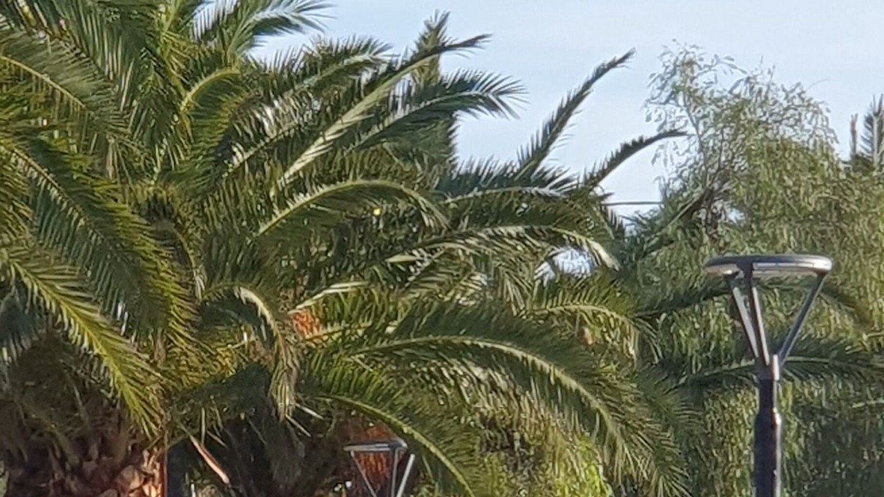Photo of Outdoor in Lavreotiki