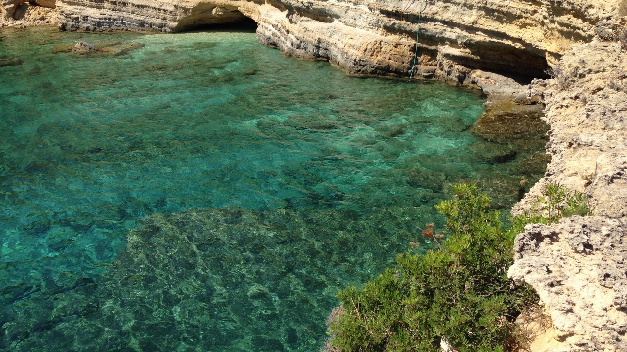 Photo of Outdoor in Spartia
