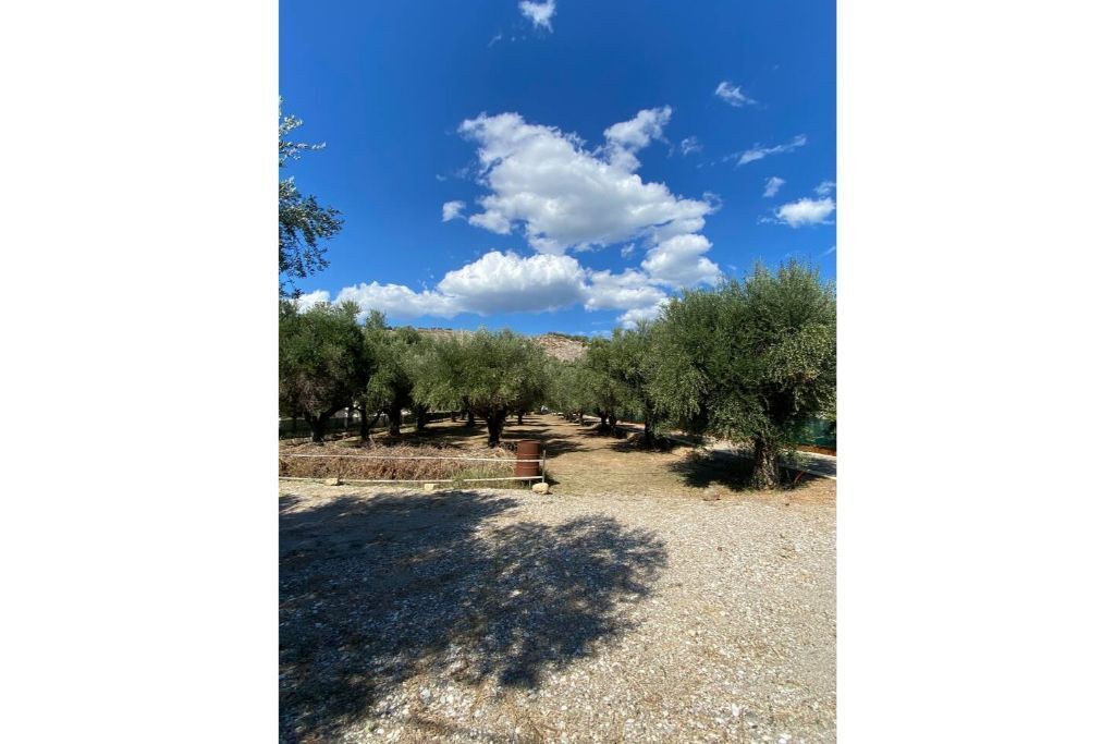 Photo of Outdoor in Mesolongi