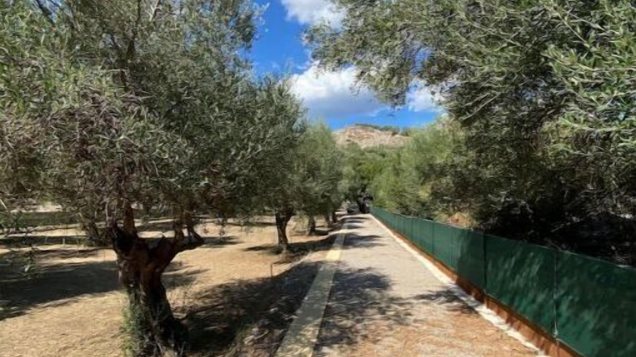 Photo of Outdoor in Mesolongi