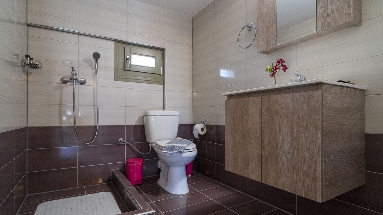 Photo of Bathroom in Ano Lechonia