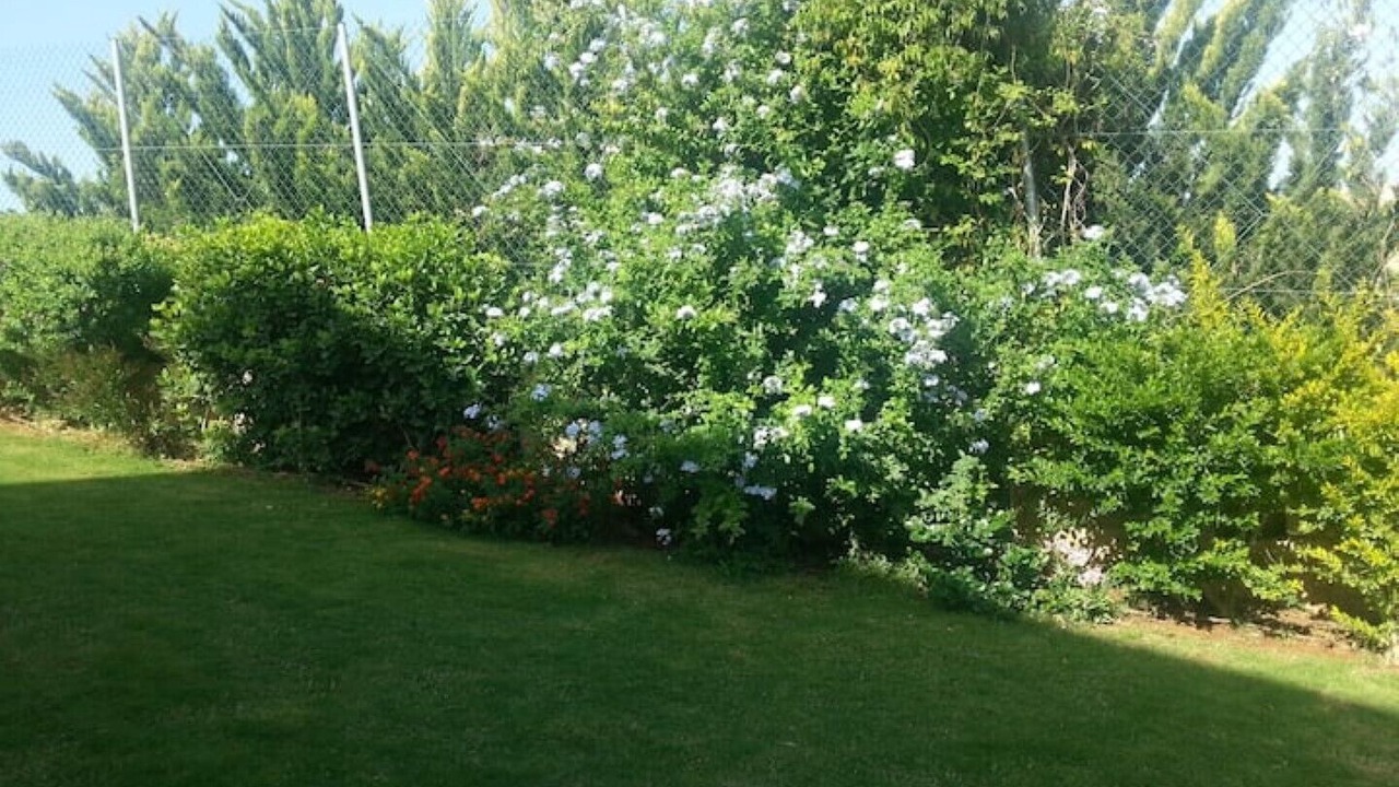 Photo of Outdoor in Kounavi