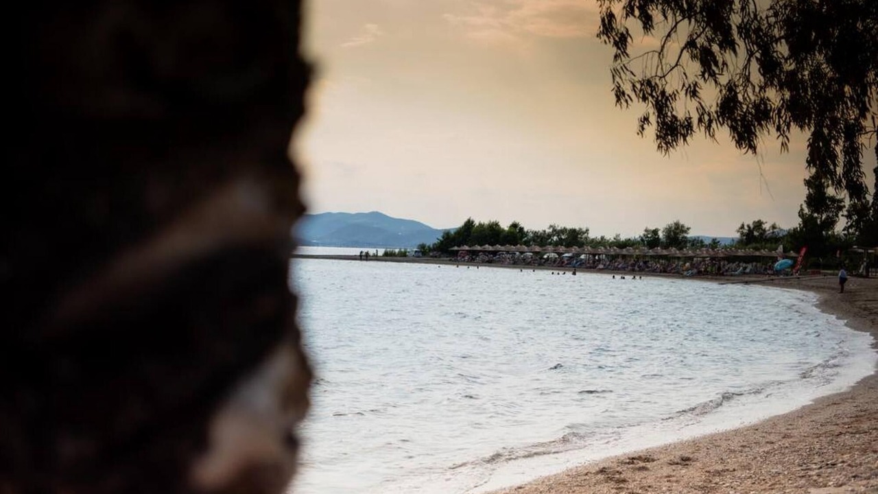 Photo of Others in Agria