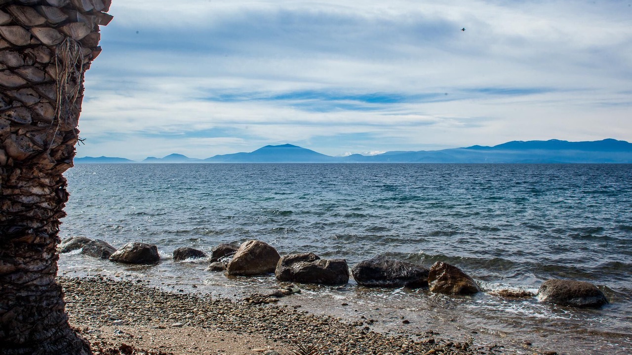 Photo of Others in Agria