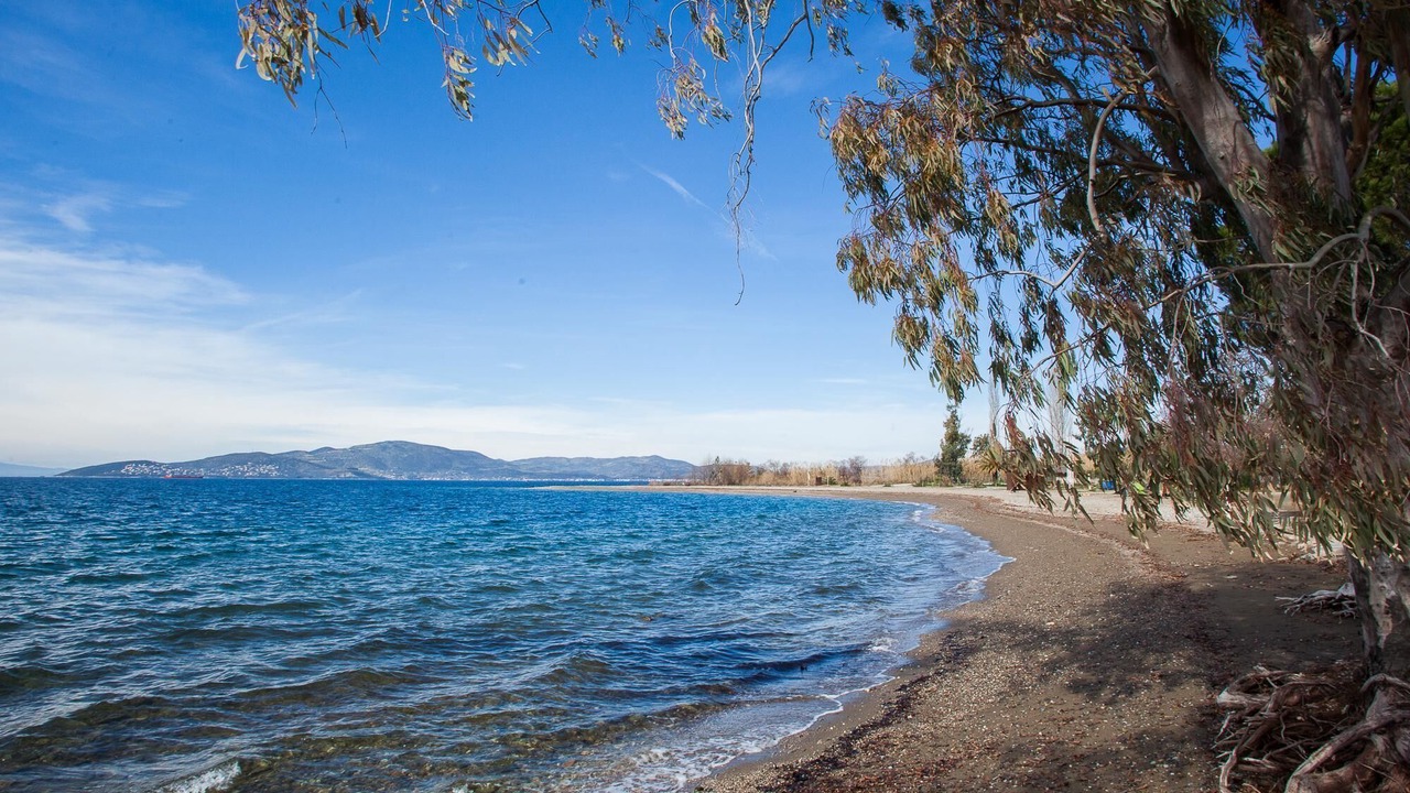 Photo of Others in Agria