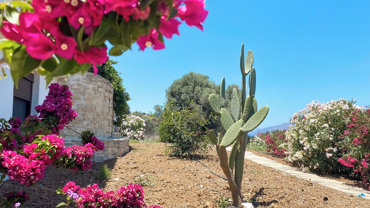 Photo of Outdoor in Kamilari