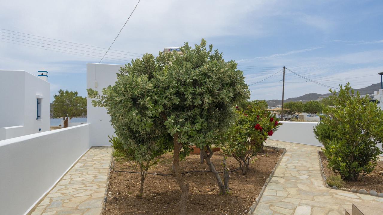 Photo of Outdoor in Serifos