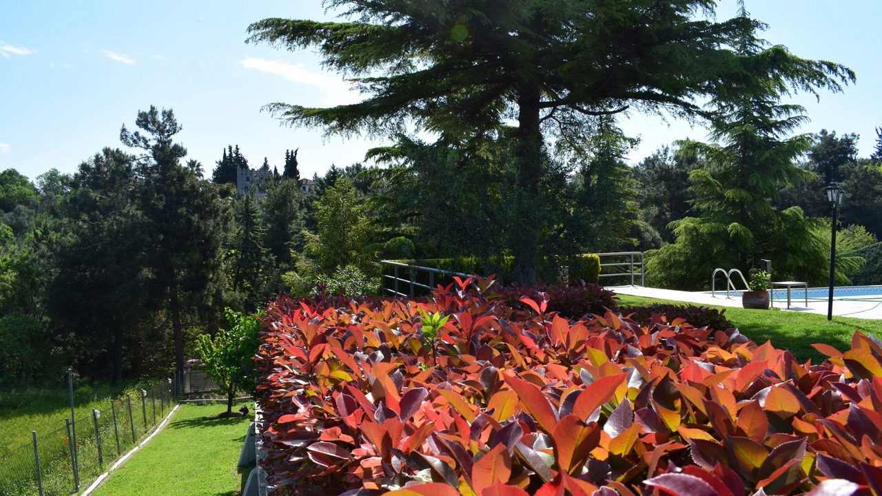 Photo of Outdoor in Plagiarion