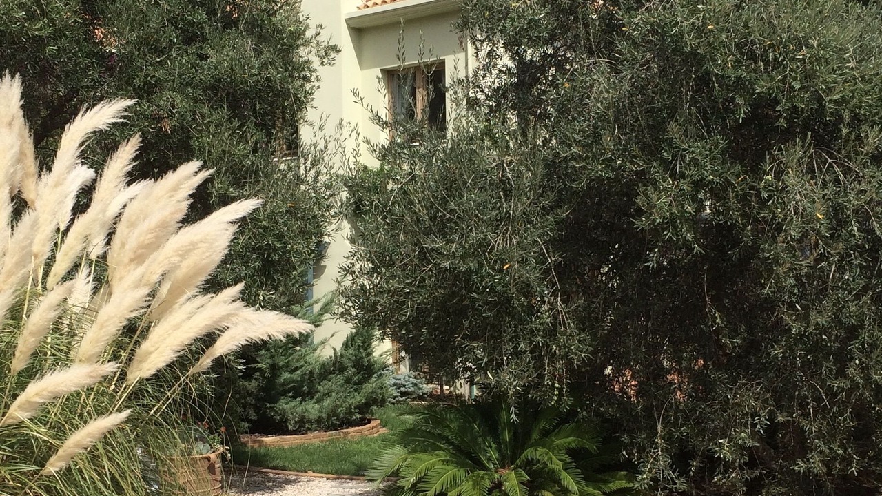 Photo of Outdoor in Anidri
