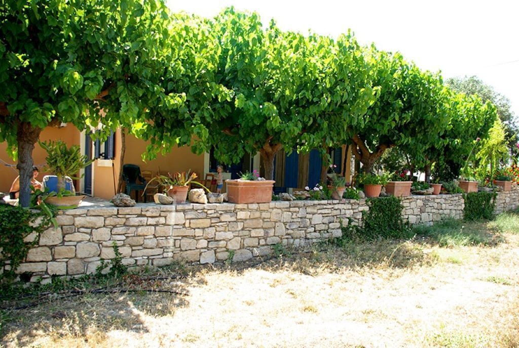Photo of Outdoor in Faistos