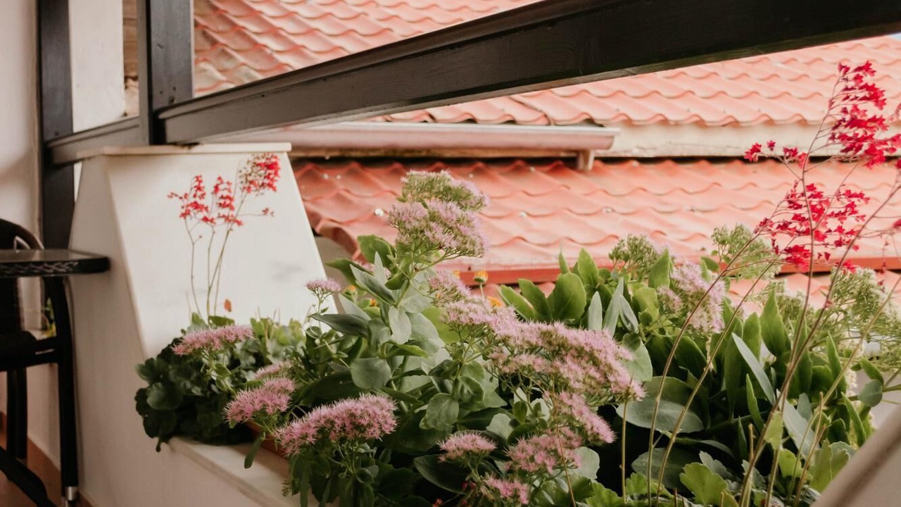 Photo of Outdoor in Kotroni