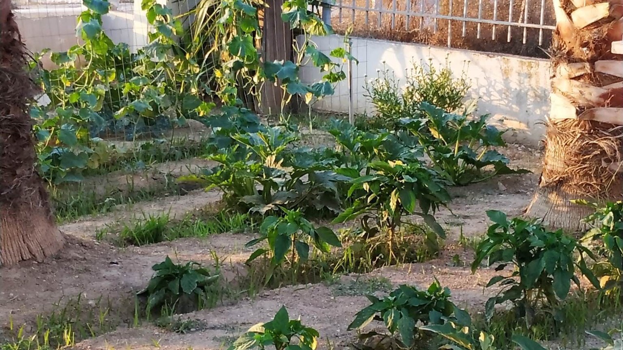 Photo of Outdoor in Velon