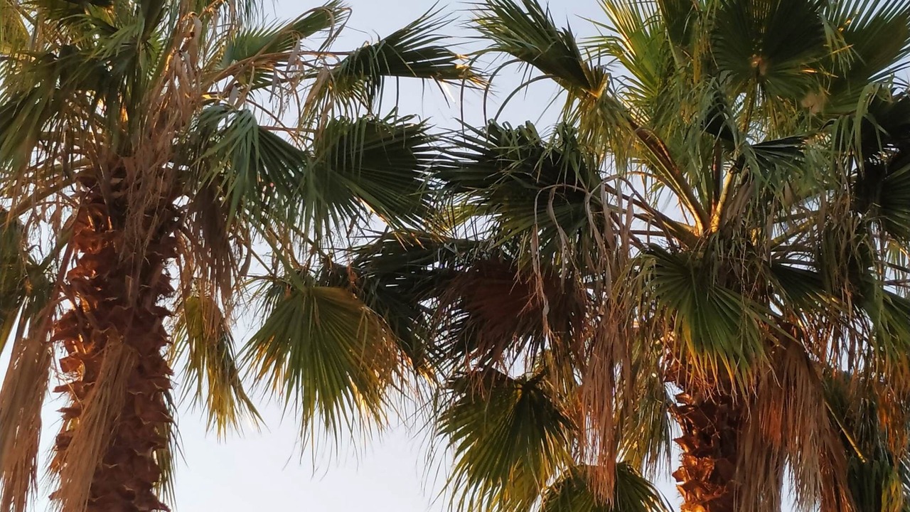 Photo of Outdoor in Velon