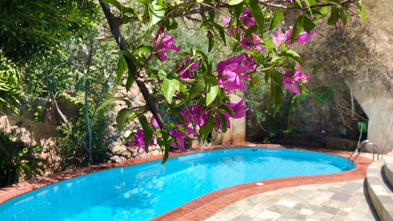 Photo of Outdoor in Voula