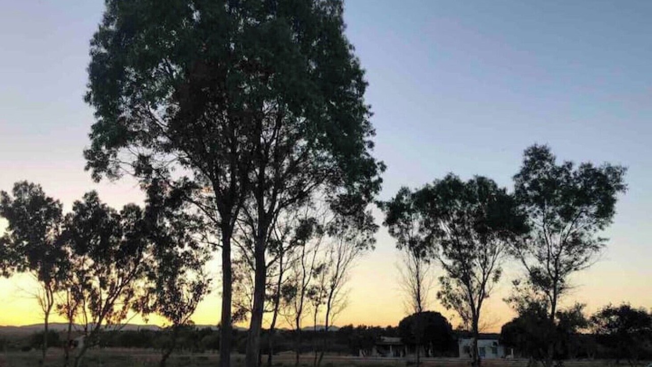 Photo of Outdoor in Messini