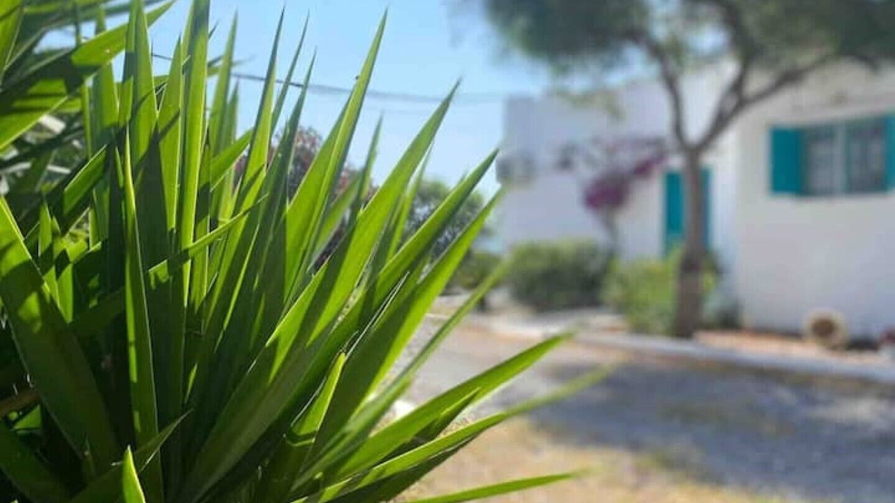 Photo of Outdoor in Messaia