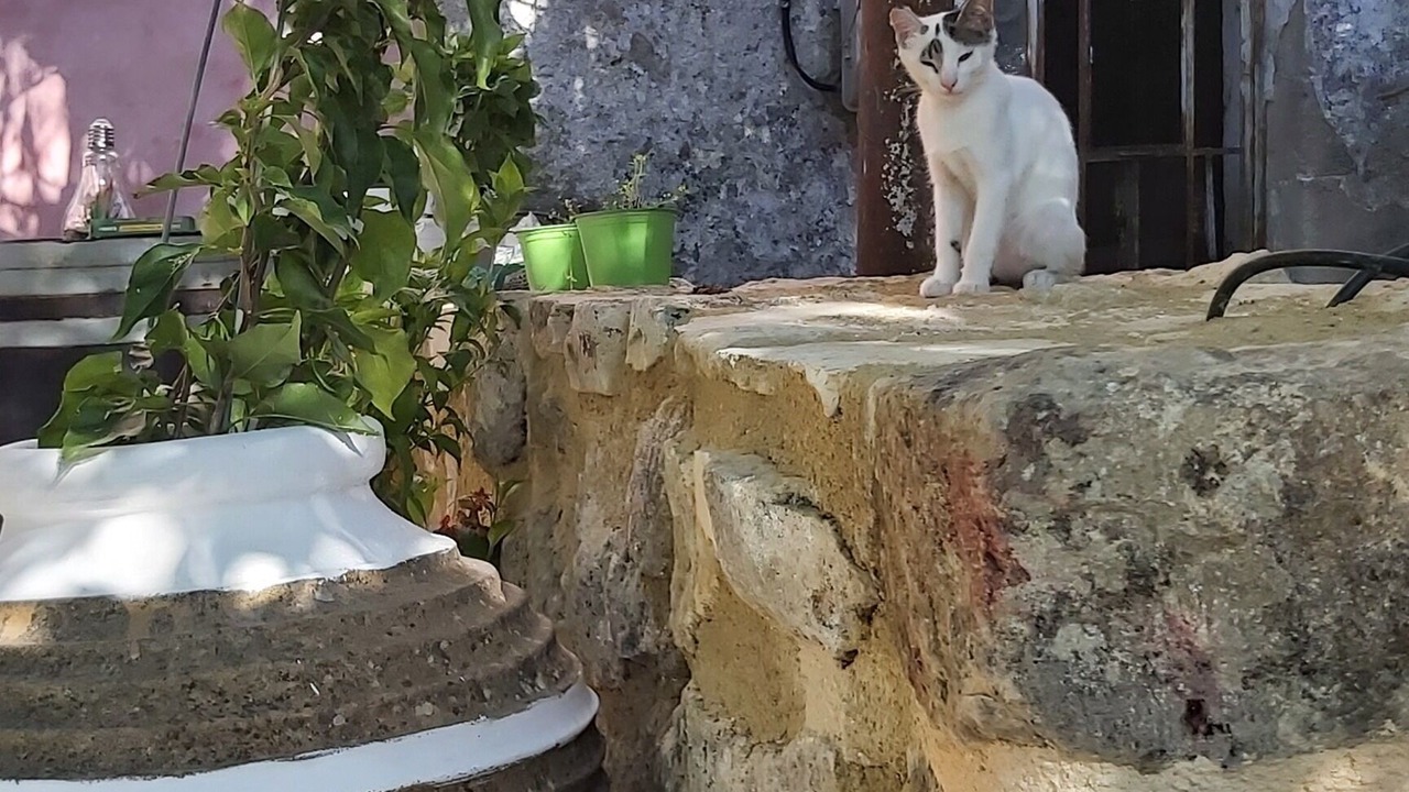 Photo of Outdoor in Vryses