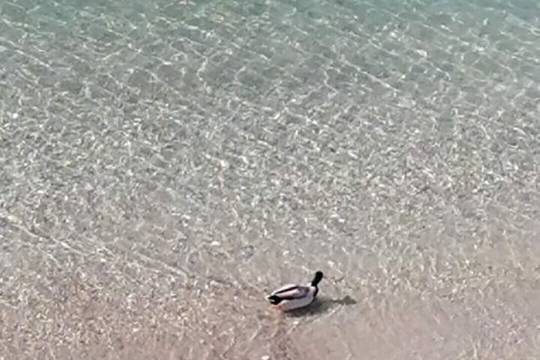 Photo of Others in Loutraki