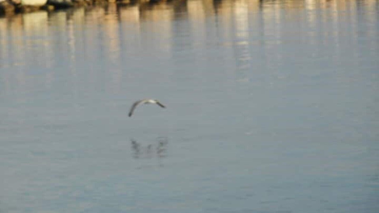 Photo of Others in Loutraki
