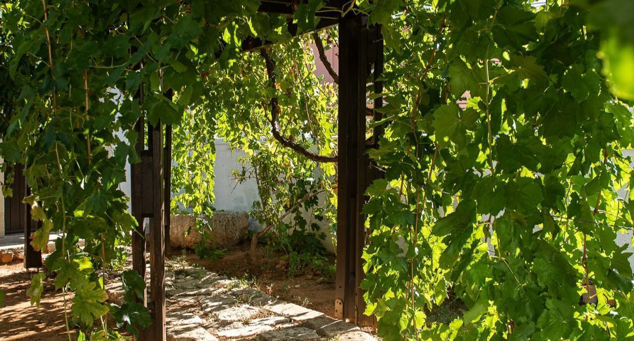 Photo of Outdoor in Sternes