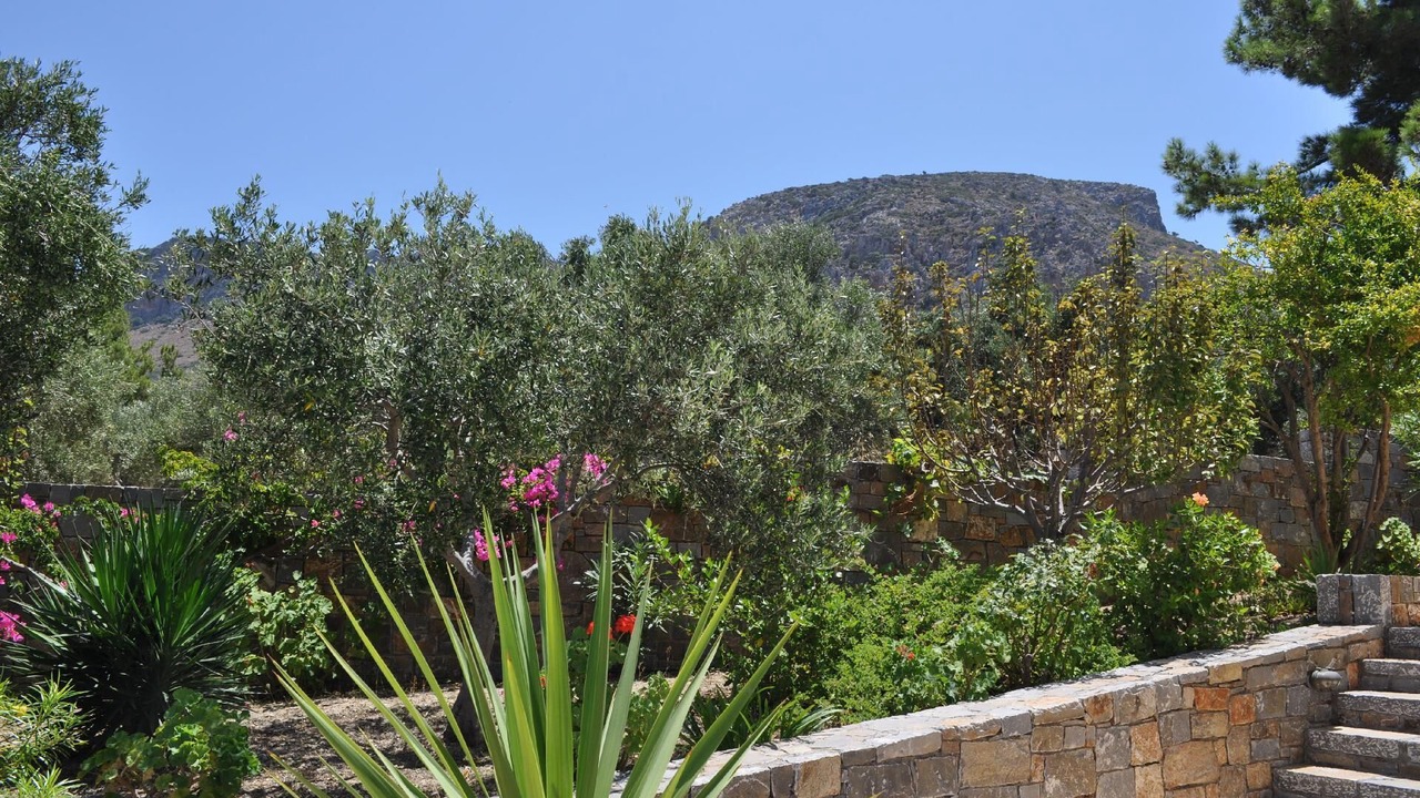 Photo of Outdoor in Old Hersonissos