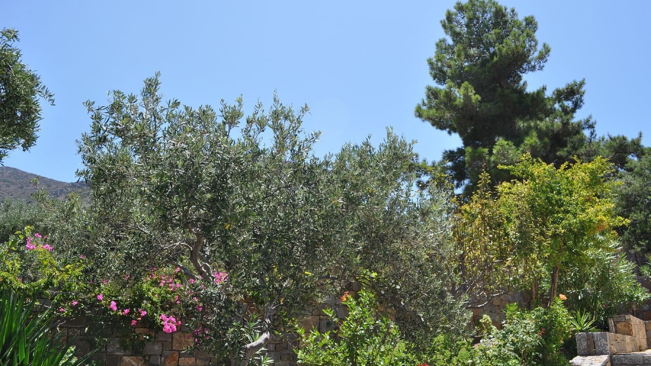Photo of Outdoor in Old Hersonissos