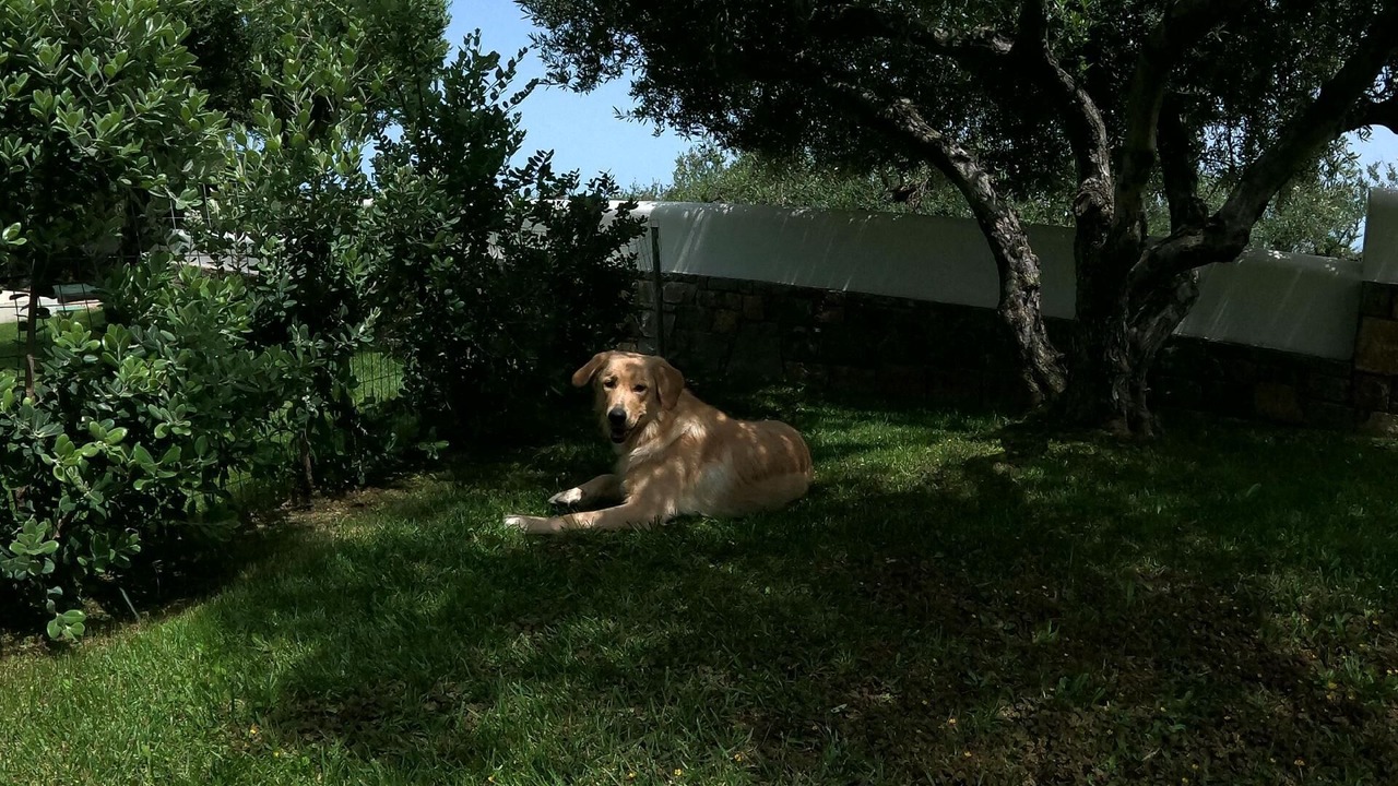 Photo of Outdoor in Old Hersonissos