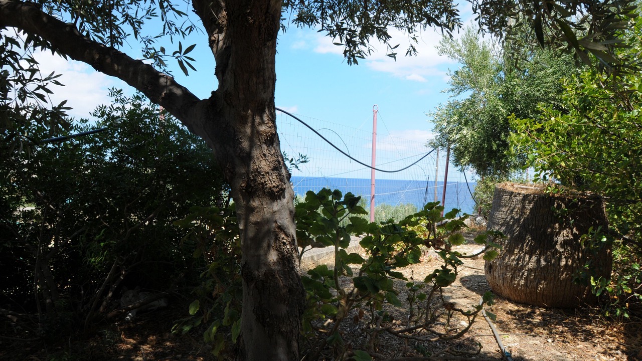 Photo of Outdoor in Agios Nikolaos Town