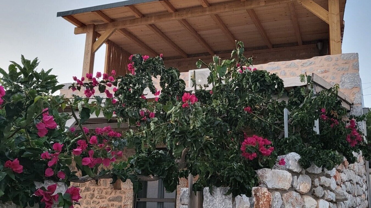 Photo of Outdoor in Omales