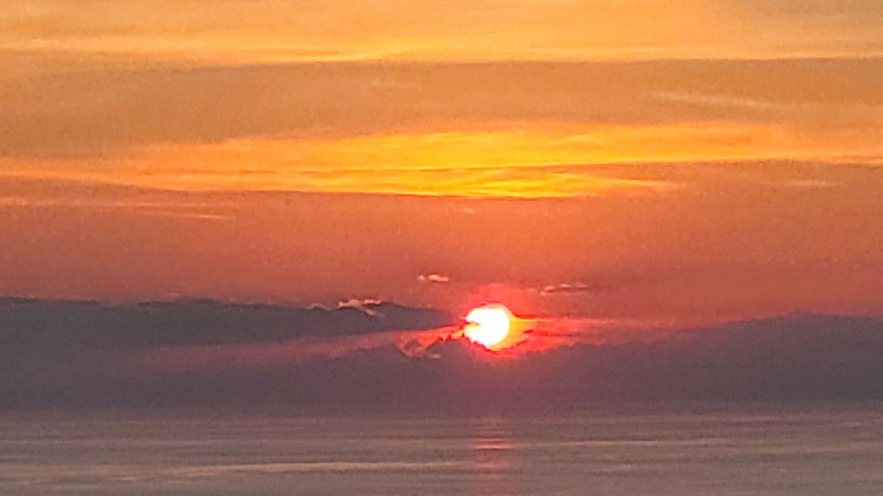 Photo of Others in Omales