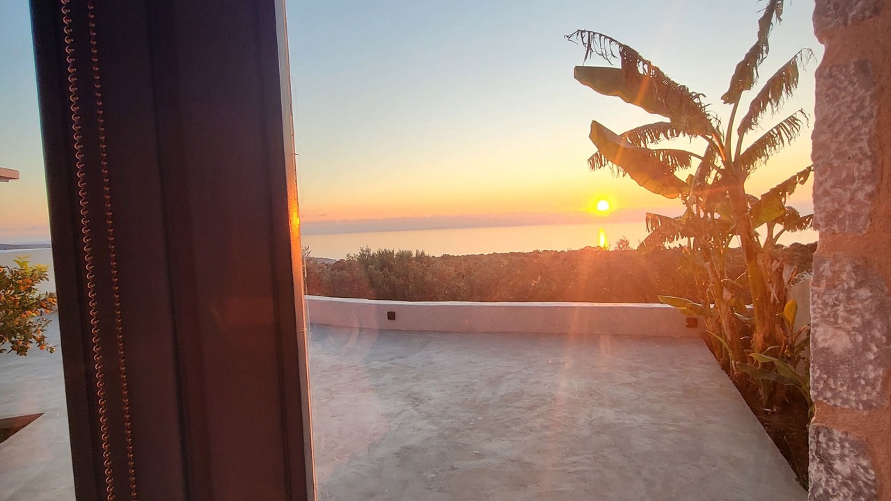 Photo of Others in Omales