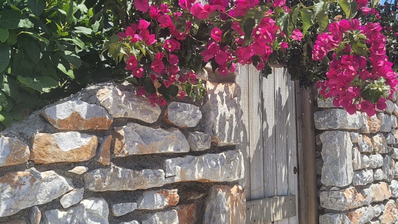 Photo of Outdoor in Omales