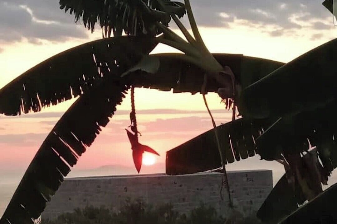 Photo of Others in Omales