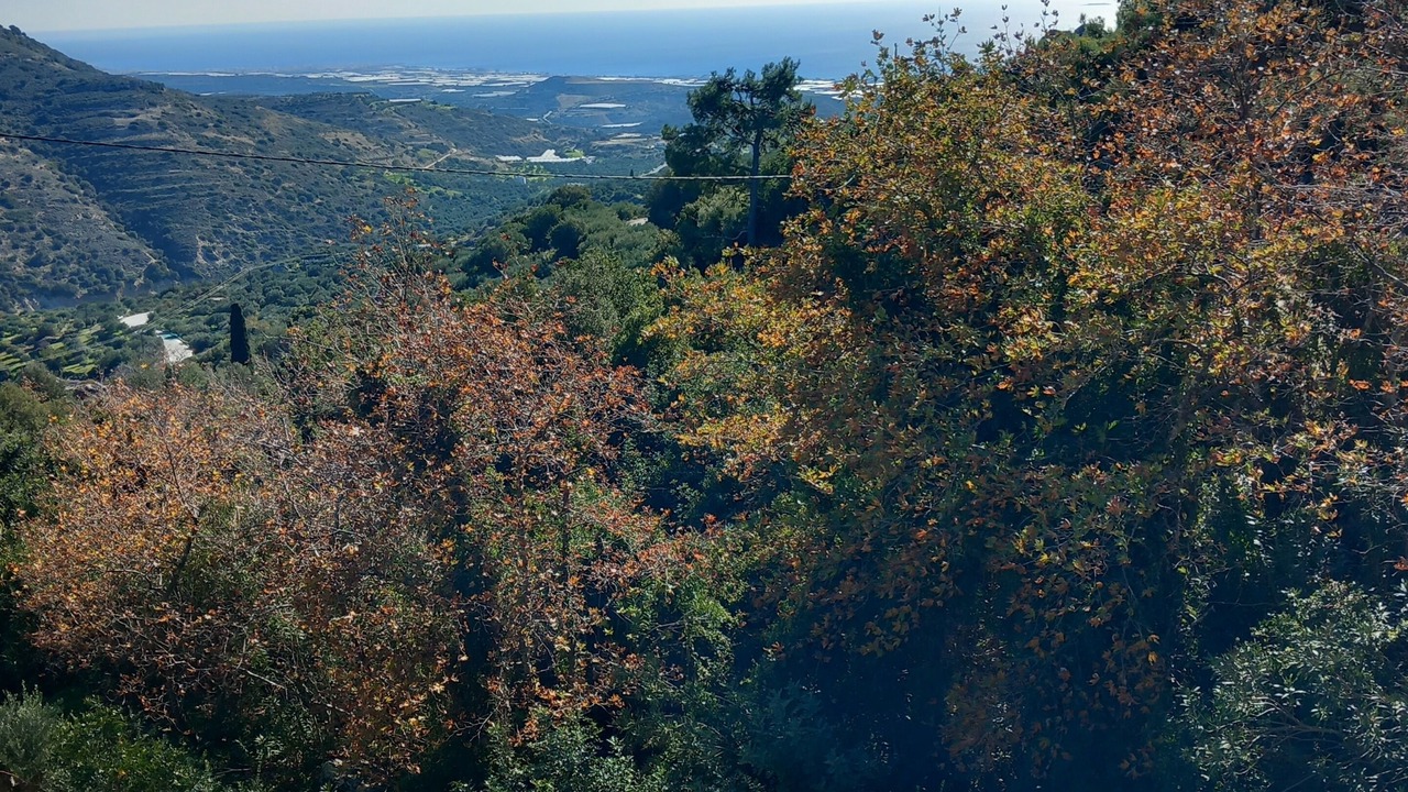 Photo of Others in Lassithi Prefecture