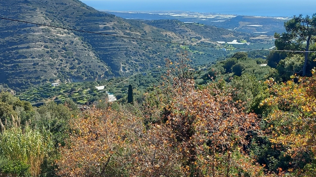 Photo of Others in Lassithi Prefecture