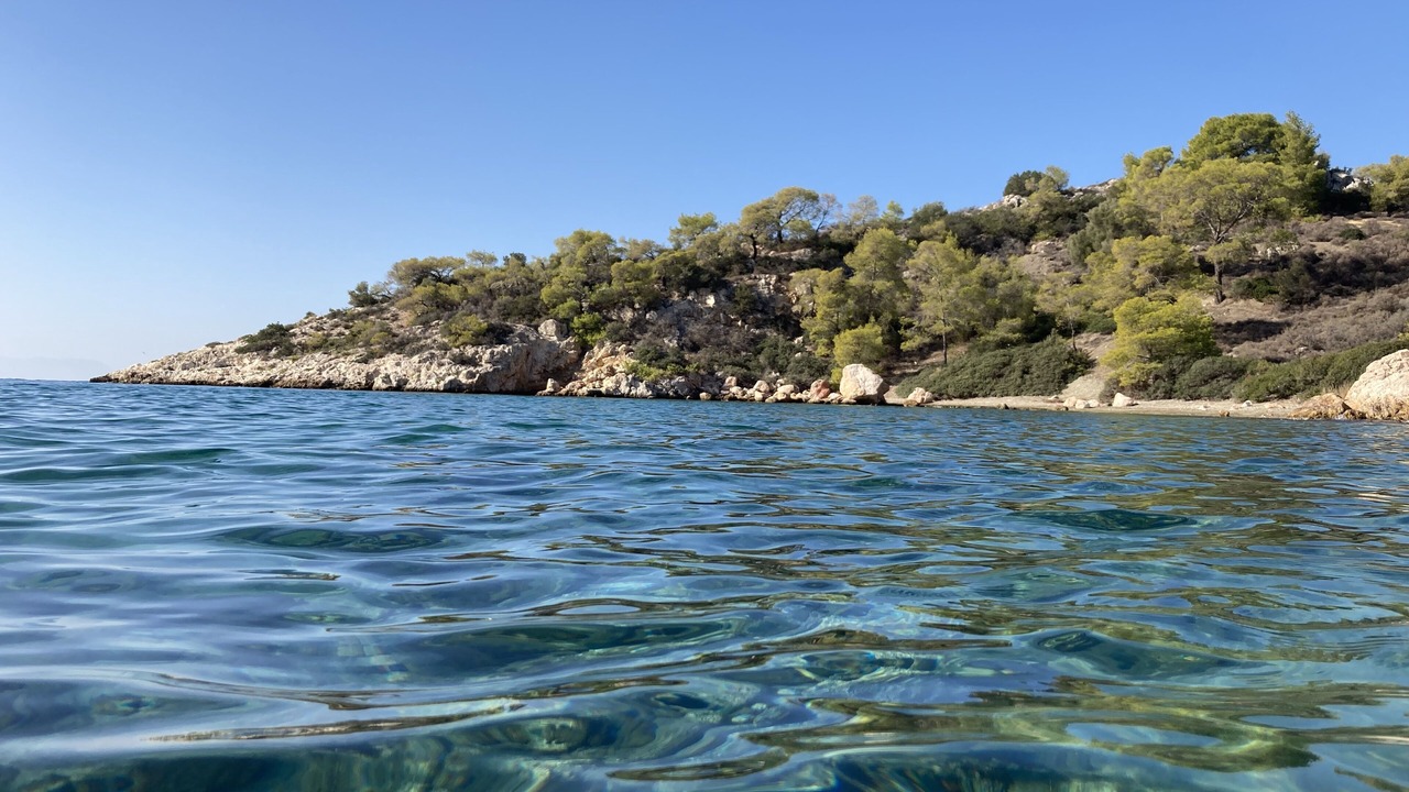 Photo of Others in Salamis