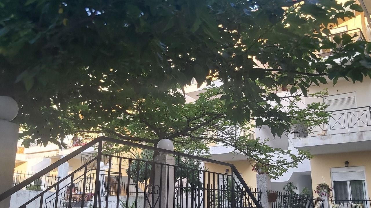 Photo of Others in Kallithea