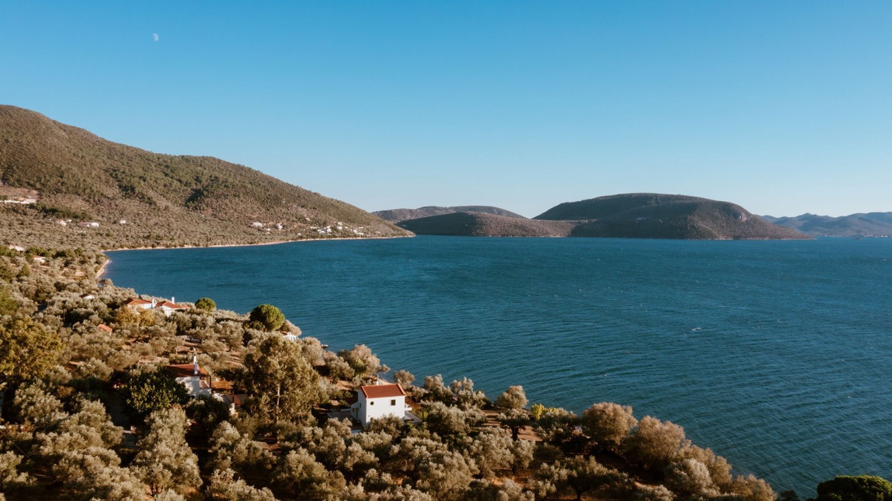 Photo of Others in Mytilene