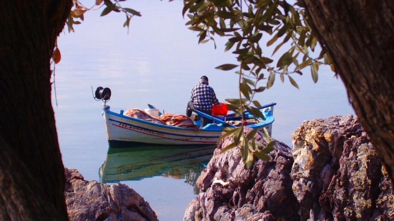 Photo of Others in Mytilene