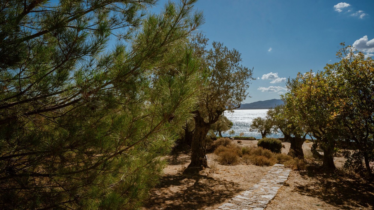 Photo of Outdoor in Mytilene
